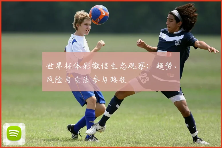 世界杯体彩微信生态观察：趋势、风险与合法参与路径