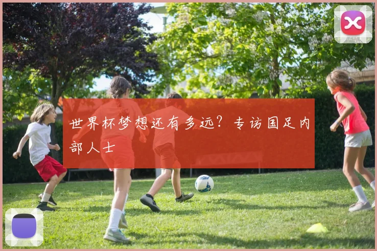 世界杯梦想还有多远？专访国足内部人士
