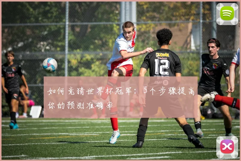 如何竞猜世界杯冠军：5个步骤提高你的预测准确率