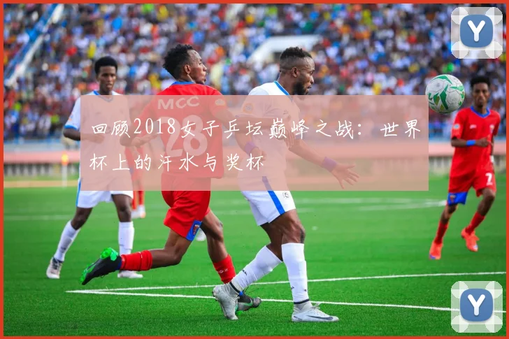 回顾2018女子乒坛巅峰之战：世界杯上的汗水与奖杯