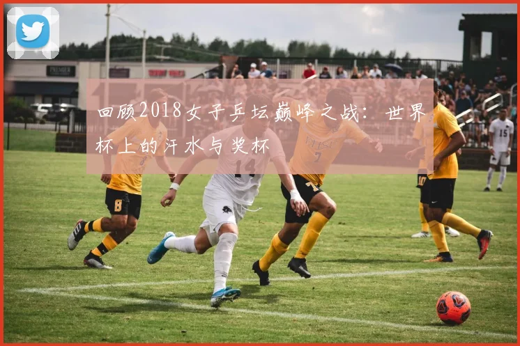 回顾2018女子乒坛巅峰之战：世界杯上的汗水与奖杯