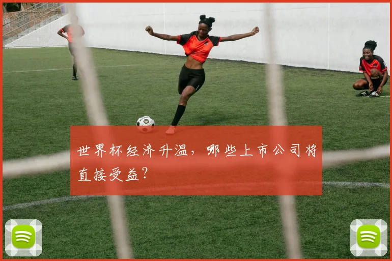 世界杯经济升温,哪些上市公司将直接受益?